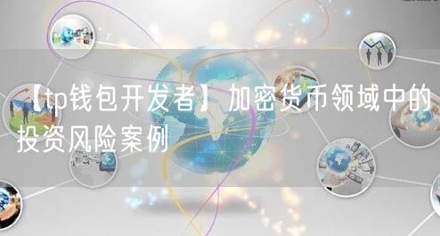 【tp钱包开发者】加密货币领域中的投资风险案例