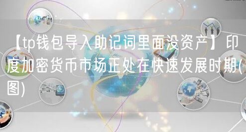 【tp钱包导入助记词里面没资产】印度加密货币市场正处在快速发展时期(图)