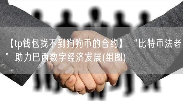 【tp钱包找不到狗狗币的合约】“比特币法老”助力巴西数字经济发展(组图)