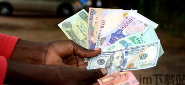 【imtoken钱包是真的吗】尼日利亚成为加密货币最好奇的国家，它是怎么做到的？