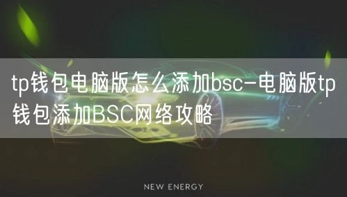 tp钱包电脑版怎么添加bsc-电脑版tp钱包添加BSC网络攻略