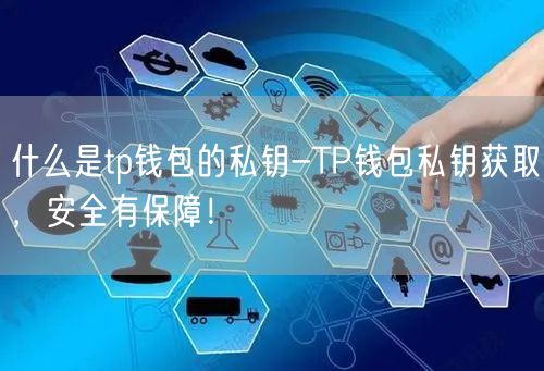 什么是tp钱包的私钥-TP钱包私钥获取，安全有保障！