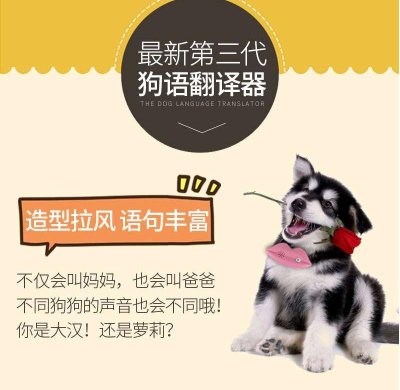 听懂狗语？人狗翻译器帮你！