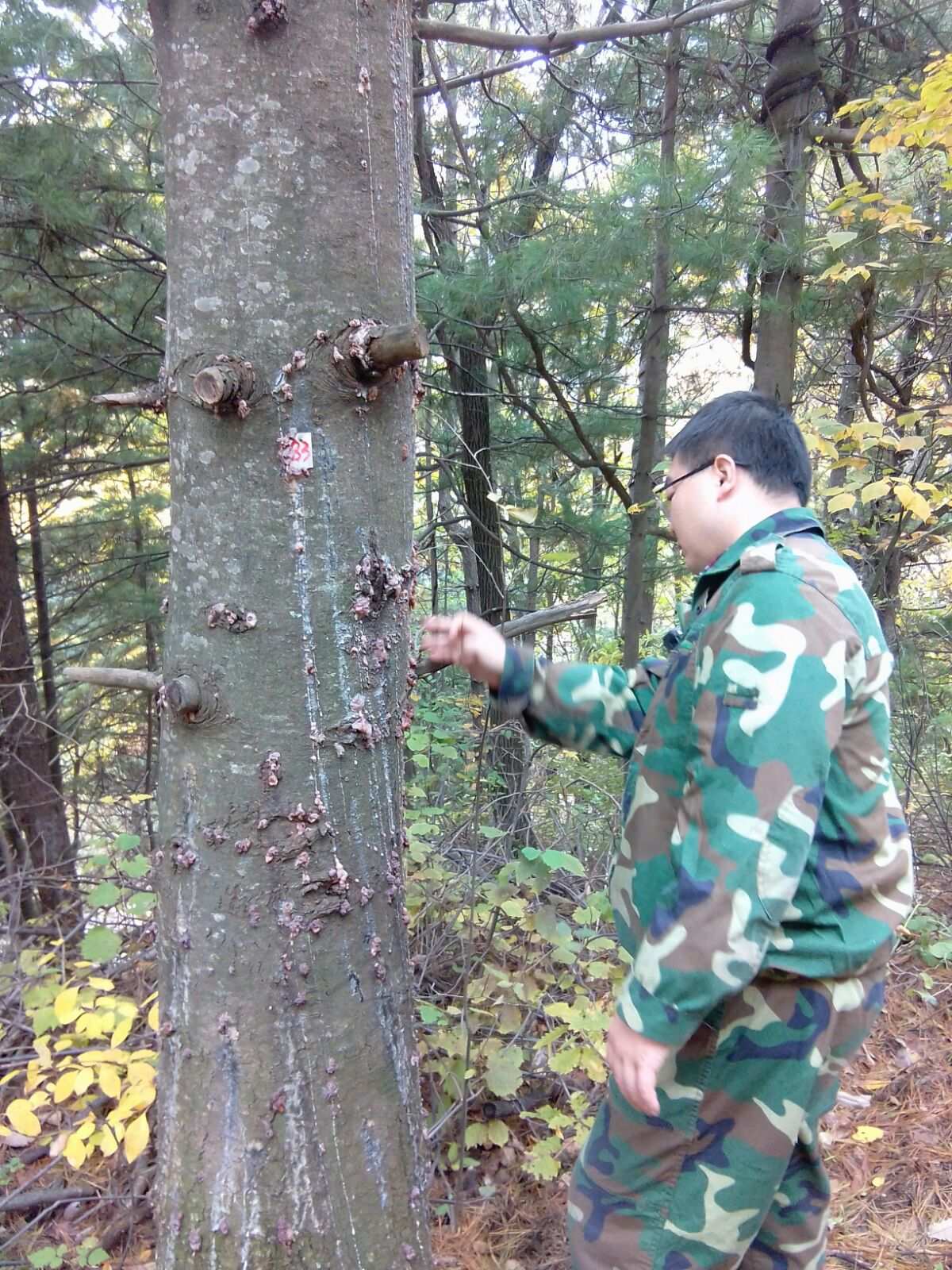 鼠妖_鼠妖小说_鼠妖怪