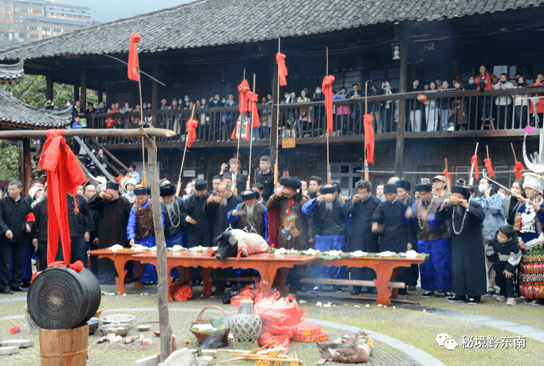 祭礼残章_祭礼残章适合什么角色_祭礼残章适合散兵吗