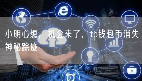 小明心想，机会来了，tp钱包币消失神秘踪迹