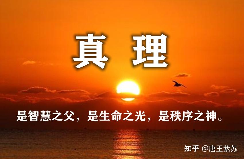 户愚吕-智慧之旅：人生意义与目的的探索
