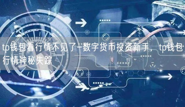 tp钱包看行情不见了-数字货币投资新手，tp钱包行情神秘失踪