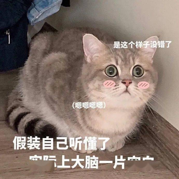 强尼好感度60补救-用善意和友善维系关系