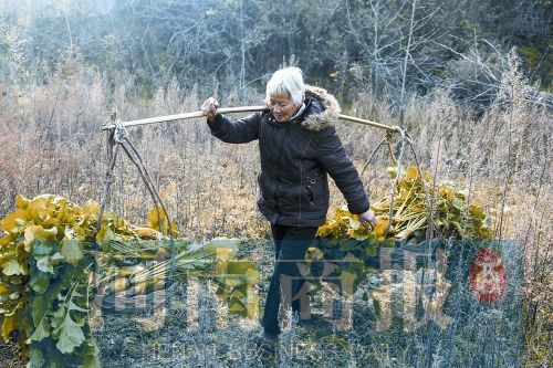 大钢牙_钢牙大鼻_钢牙大王图片