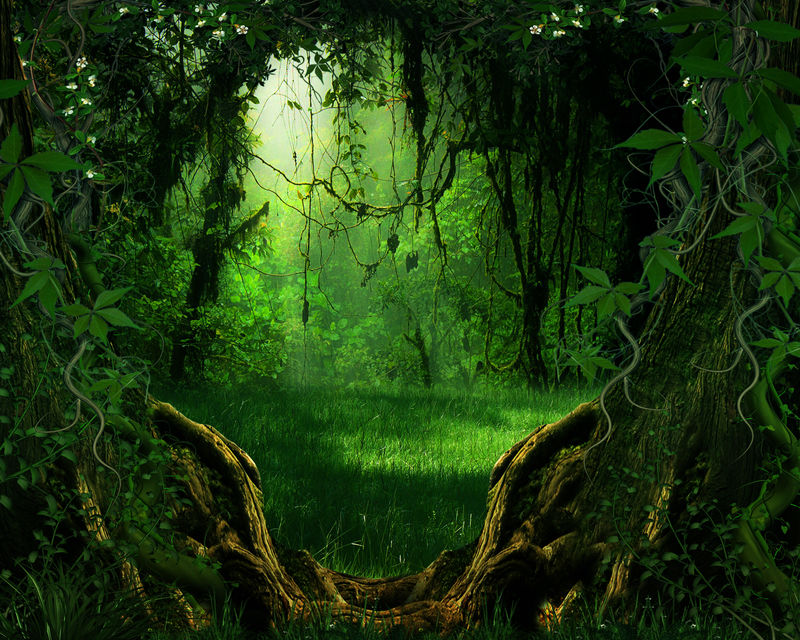 究极丛林游戏下载手机版-究极丛林游戏：深处的谜题