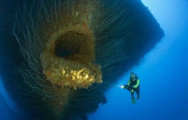 黑潮深海觉醒全角色大全_黑潮深海觉醒深海化_黑潮：深海觉醒