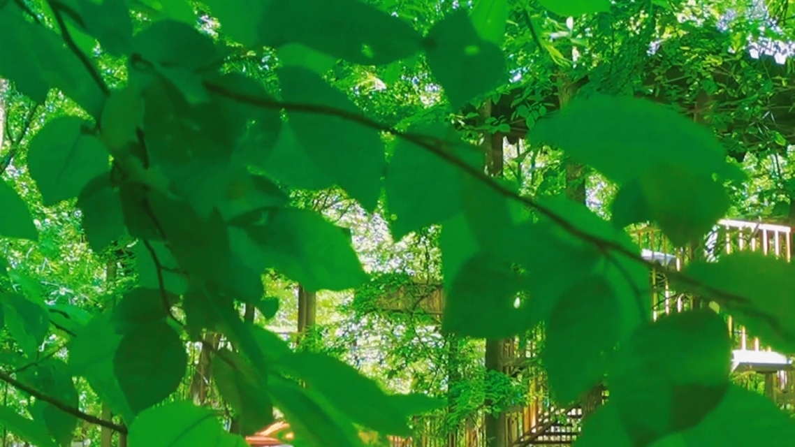 乐美游戏解说超长壁纸手机-乐美游戏解说员体验：超长壁纸手机惊艳展示