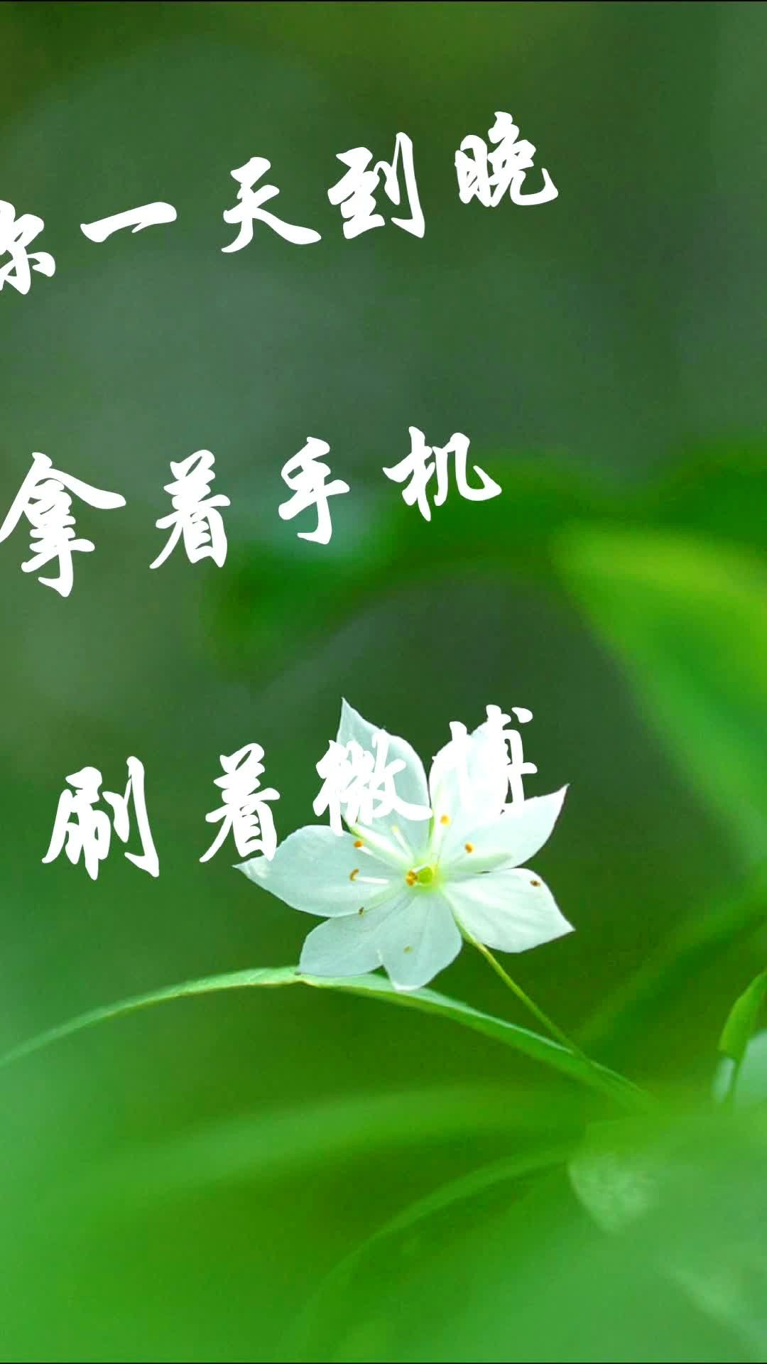 校长告诉你：再也不用手机玩大型游戏的秘诀