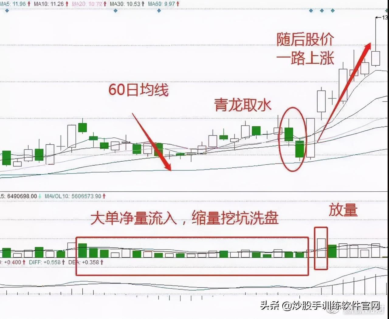 dogecoin狗狗币钱包_tp钱包狗币_钱包狗狗币