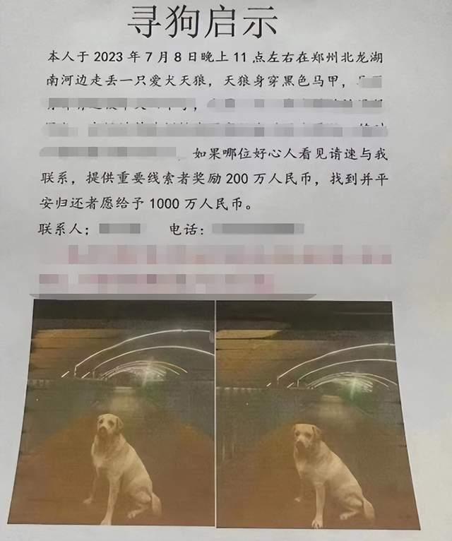 狗狗币钱包导入私钥_狗狗币怎么转到tp钱包_狗狗币钱包转账