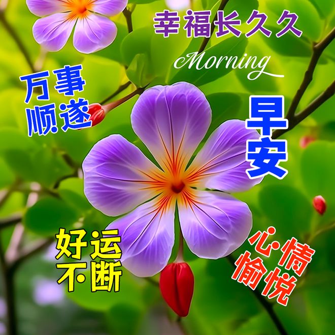 夏天一般在几月到几月-炎炎夏日，清晨慢跑vs暑假欢乐时光，你更期待哪个？