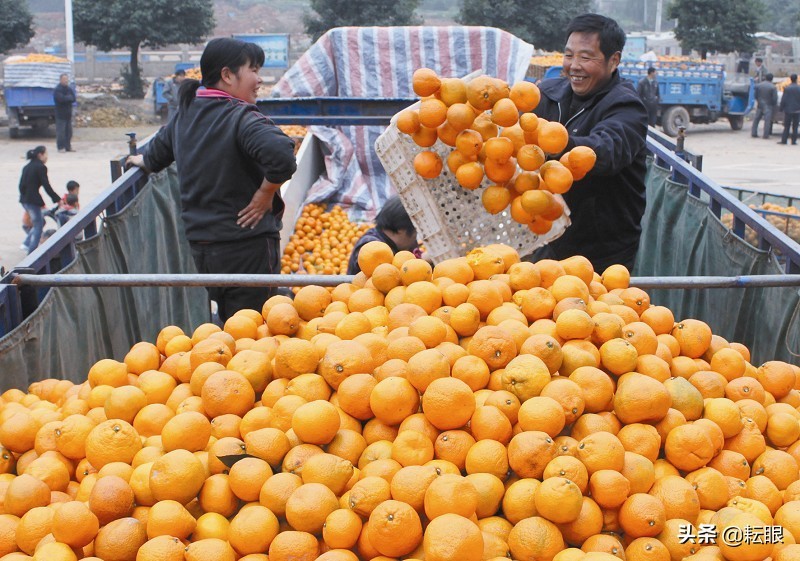 艾丝蒂尔·布莱特-慈善女教育家:温暖校园,助力成长 艾丝蒂尔·布莱特-慈善女教育家:温暖校园,助力成长