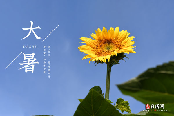 大暑节气的特点和风俗-35摄氏度！大暑来袭，教你防晒降温解暑秘籍