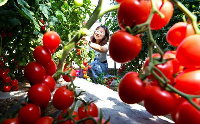 孟夏月是谁呀_孟夏月是艺人吗_孟夏是几月