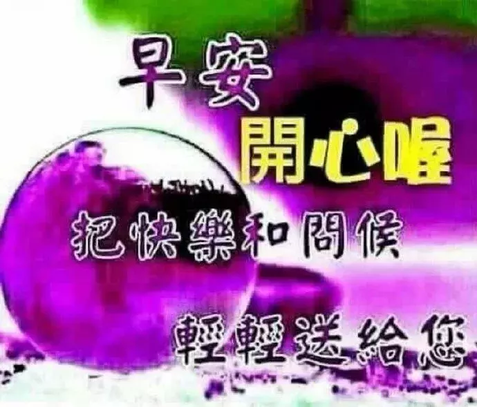 瞌睡熊_瞌睡熊_瞌睡熊