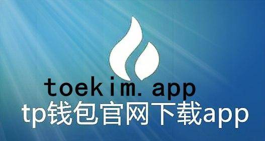 tp钱包error-解决TP钱包Error问题：网络连接、版本更新、密码错误等解决方案
