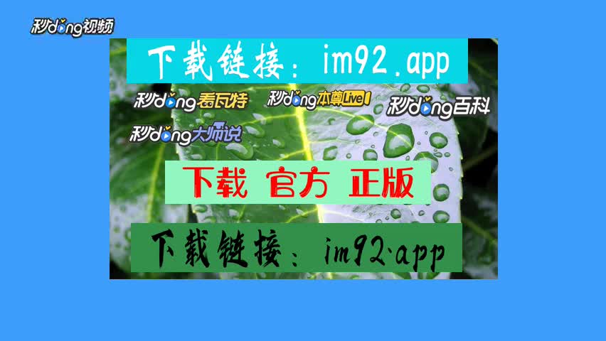 imtoken怎么转换中文-imToken 数字钱包：英文界面转中文，体验意外温暖与便捷