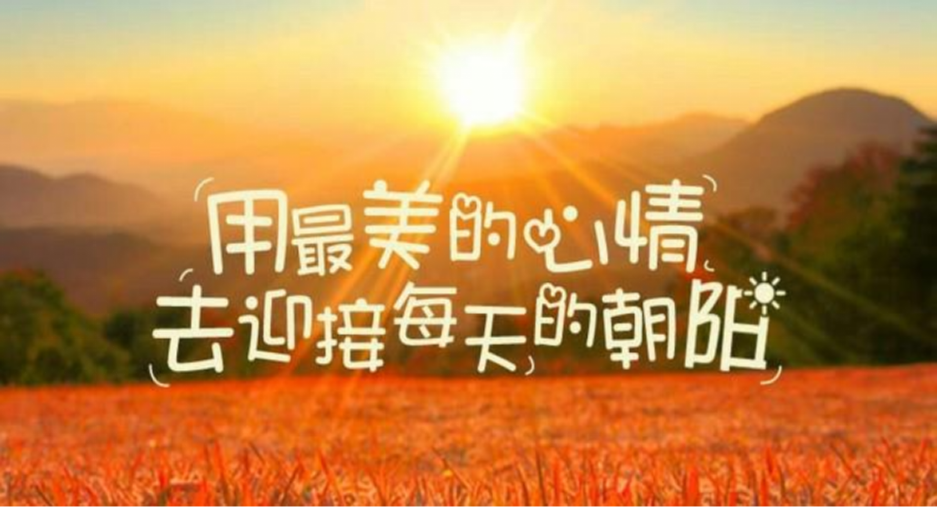在快节奏生活中，伊紫——我心中理想化的美好与力量源泉