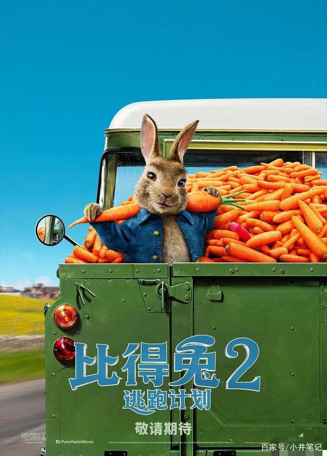 速度与激情在线观看1080p免费完整版-1080p 免费完整版速度与激情，带你体验狂野速度与激情的碰撞
