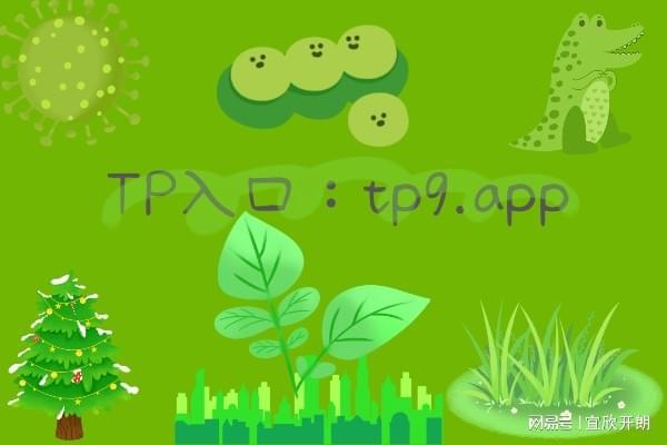 tp钱包里网页无法打开怎么办_tp钱包网页版_tp钱包电脑版怎么用