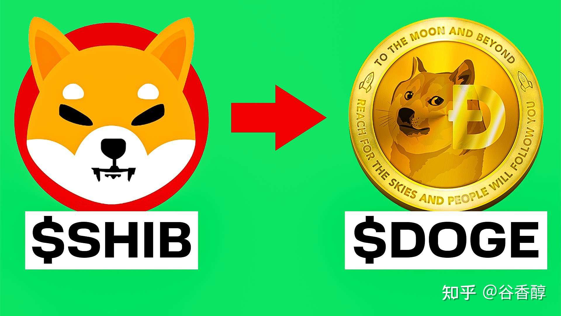 tp钱包doge-TP 钱包与 Doge 币:普通大学生的数字货币之旅 tp钱包doge-TP 钱包与 Doge 币:普通大学生的数字货币之旅