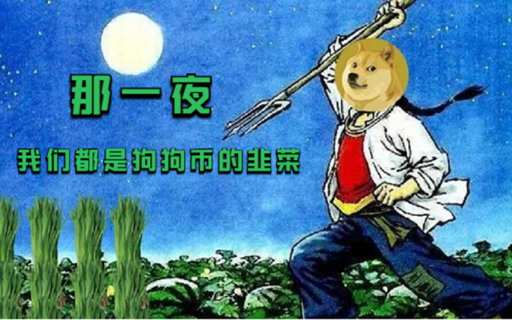 tp钱包买狗狗币-用 TP 钱包买狗狗币：心跳加速的币圈之旅