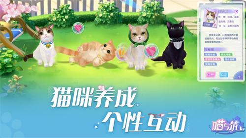 一款猫咪游戏_猫手机游戏_猫和手机一起活动的游戏