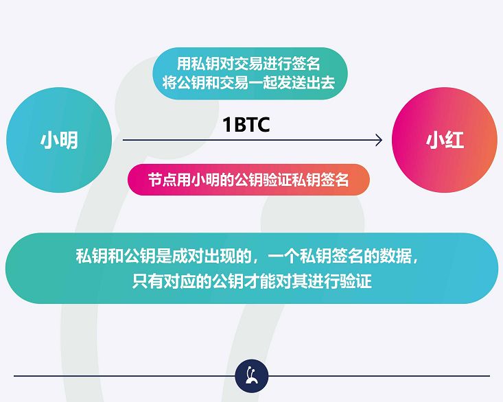 tp钱包怎么看私钥_tp钱包怎么看私钥_tp钱包怎么看私钥