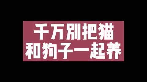 TP钱包买宝贝狗-在 TP 钱包里买宝贝狗，开启神奇的虚拟宠物之旅