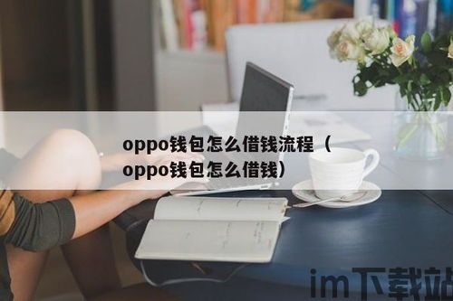 oppo钱包借钱利息是多少,OPPO钱包借钱利息是多少？全面解析(图2)