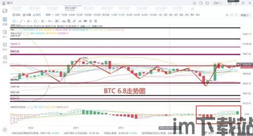 9800币比特币,深入解析9800美元比特币的价值与前景(图10)