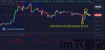 9800币比特币,深入解析9800美元比特币的价值与前景(图12)