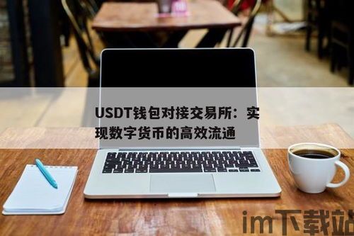 usdt钱包对接易支付,实现便捷数字货币支付解决方案