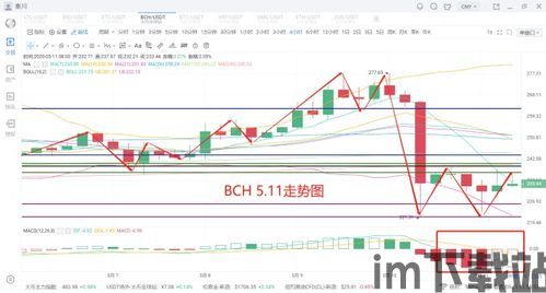 比特币减半第二天价格,价格波动与市场分析(图12)