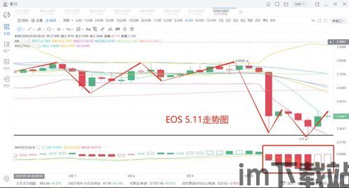 比特币减半第二天价格,价格波动与市场分析(图13)