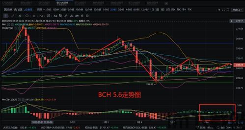 比特币最近一天行情分析,波动中寻求新高度(图14)