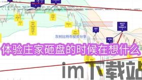 比特币成交量不正确,如何影响市场分析(图1)