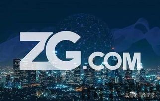 zg 比特币,风险与机遇并存(图4)