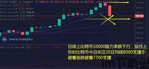 比特币5年价格走势图表,比特币5年价格走势图表分析(图5)