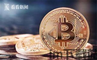 wealth币比特币,对比分析及投资前景展望(图4)