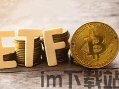 tp钱包怎么提usdt到交易所,TP钱包USDT提现到交易所的详细教程(图4)