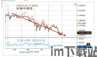 买比特币还是比特币现金,投资选择指南(图6)