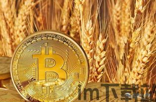 牛比特币怎么换比特币,如何将牛比特币（Bovine Bitcoin）兑换成比特币（BTC）(图4)