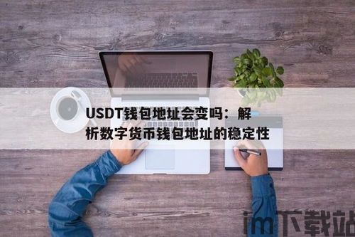 区块链usdt钱包地址,了解、获取与使用指南(图2)